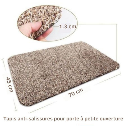 Visuel du tapis d'entrée ultra-absorbant