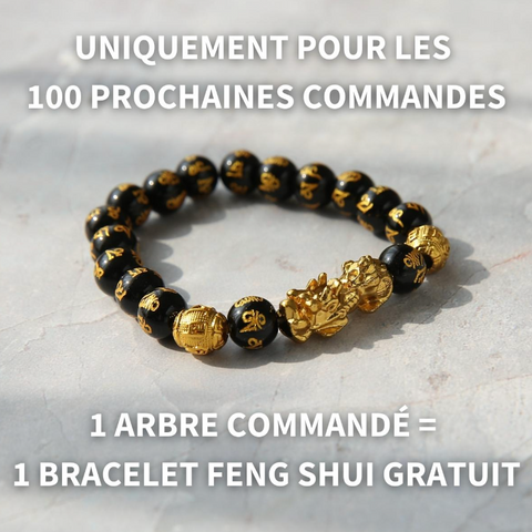 promotion-feng-shui-arbre de vie-améthyste